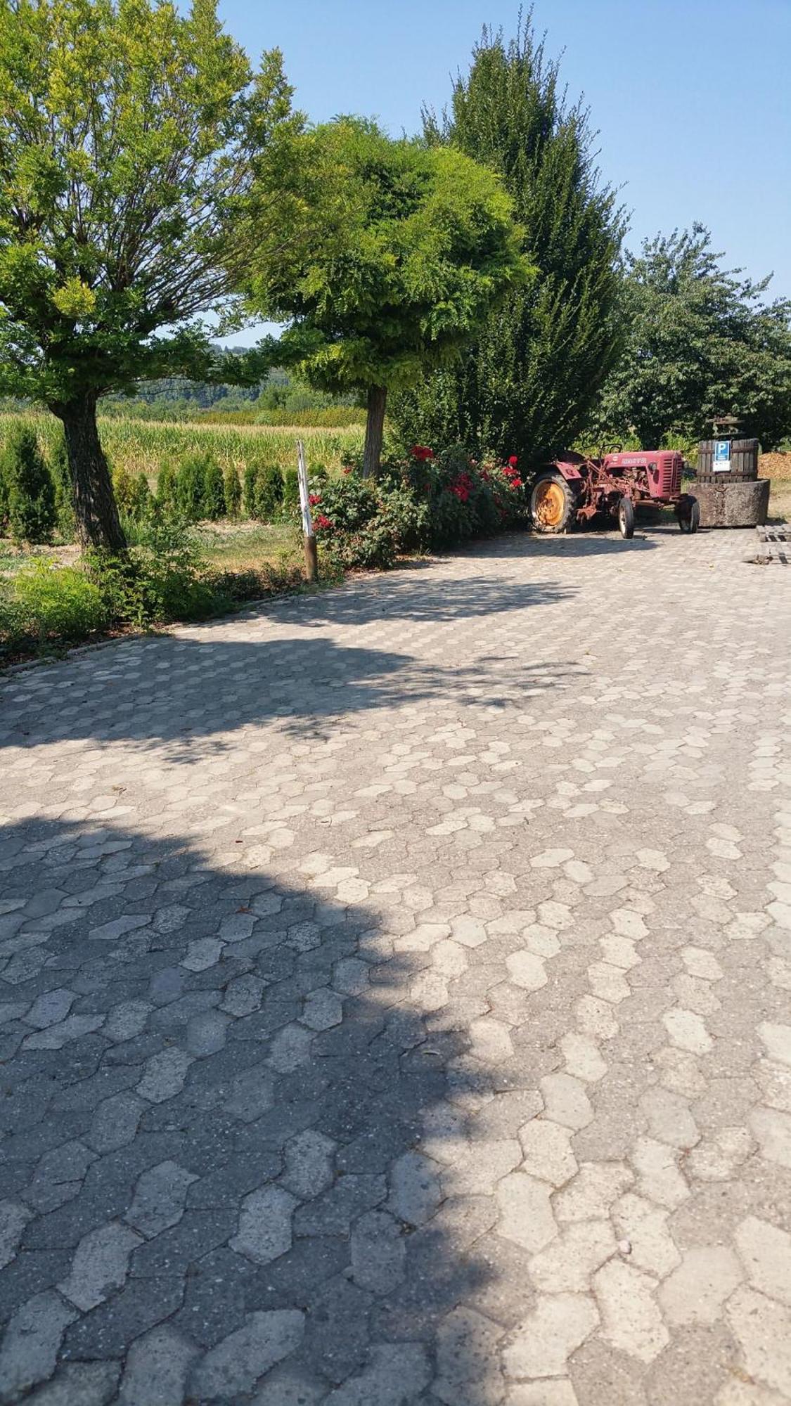 Ferienwohnung Rombachs Spatzennest Herbolzheim Ngoại thất bức ảnh
