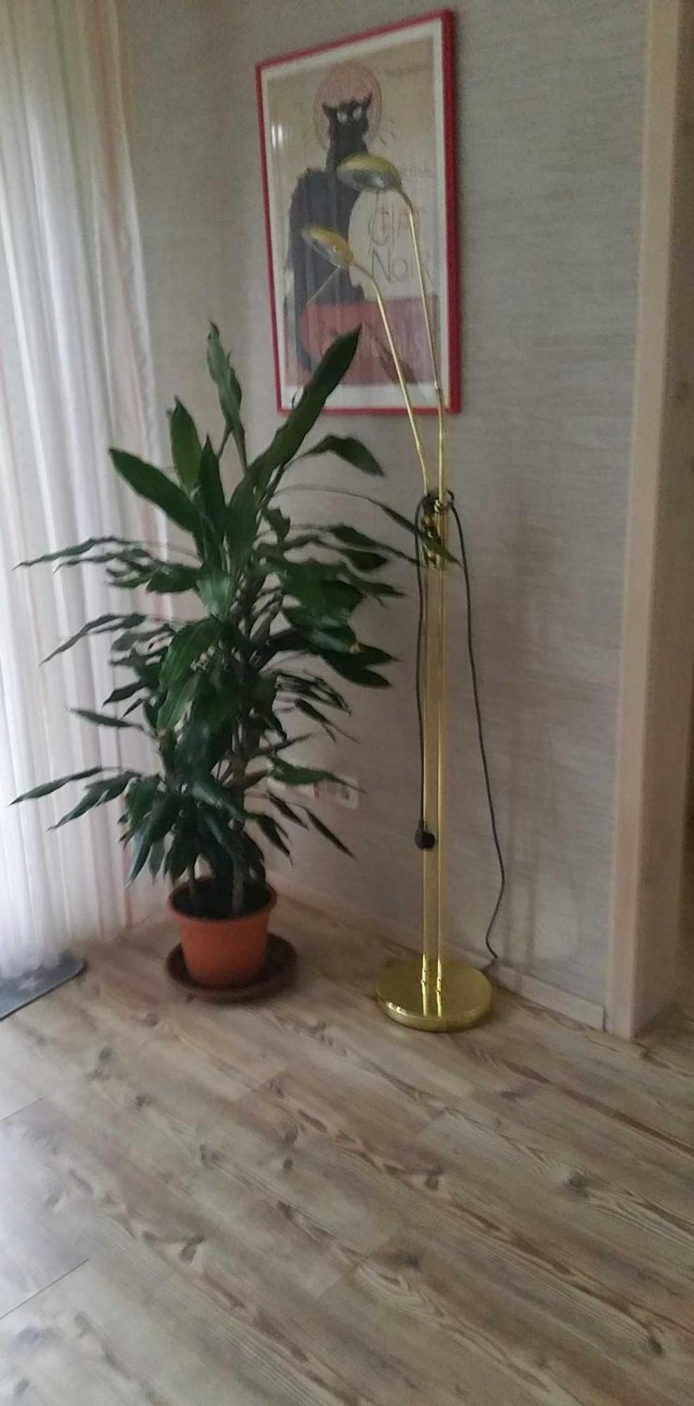 Ferienwohnung Rombachs Spatzennest Herbolzheim Ngoại thất bức ảnh